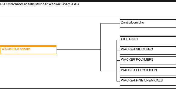 Die Unternehmensstruktur der Wacker Chemie AG (Grafik)