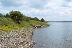 Aquatic Community: Elbe Water Tested (photo)