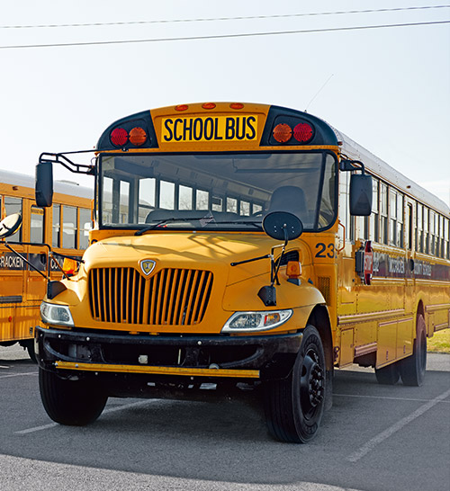 American school bus (photo)