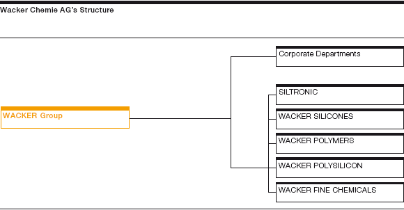 Company Structure (graphics)