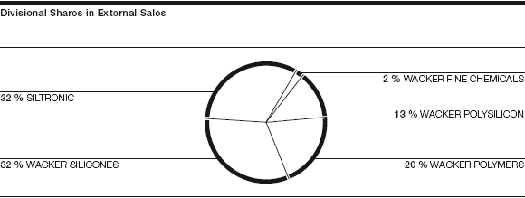 Divisional Shares in External Sales (graphics)