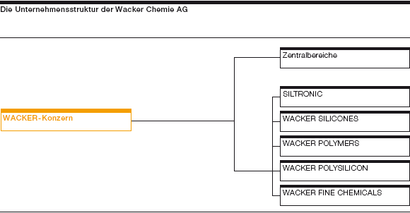 Die Unternehmensstruktur der WACKER Chemie AG (Grafik)