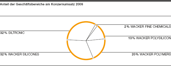 Anteil der Geschäftsbereiche am Konzernumsatz 2008 (Tortendiagramm)