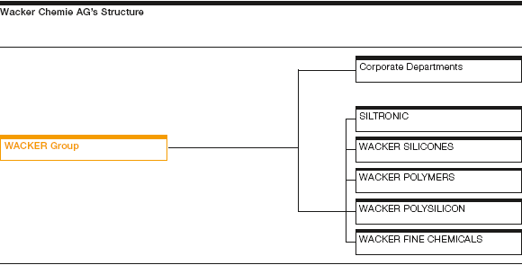 Wacker Chemie AG’s Structure (graphics)