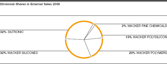 Divisional Shares in External Sales 2008 (pie chart)