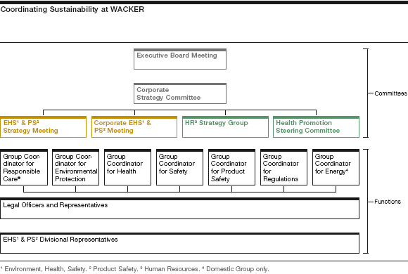 Coordinating Sustainability at WACKER (graphics)