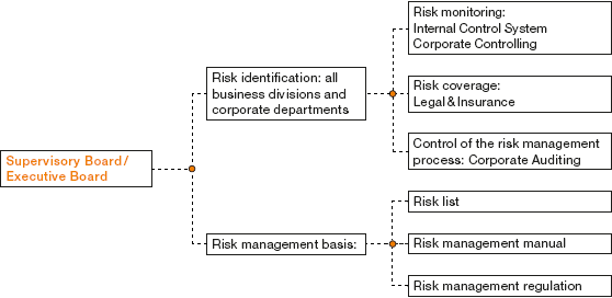 Risk Management System (graphics)