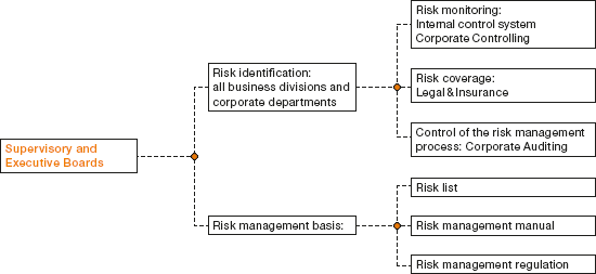 Risk Management System (graph)