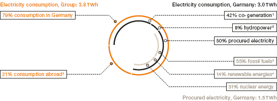 Electricity Supply (pie chart)