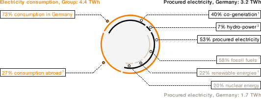 Electricity Supply (pie chart)