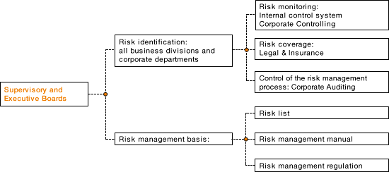 Risk Management System (organogram)