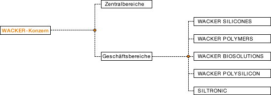 Unternehmensstruktur von WACKER (Organigramm)