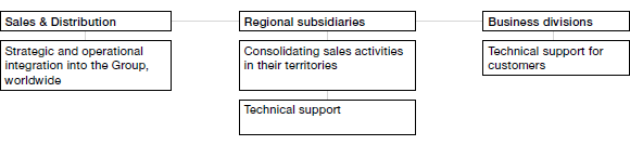 Global Sales and Distribution Network (organogram)