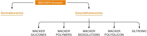Unternehmensstruktur von WACKER (Organigramm)