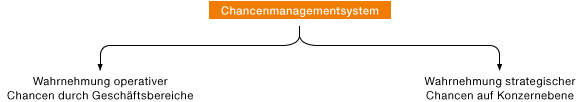 Chancenmanagementsystem (Organigramm)
