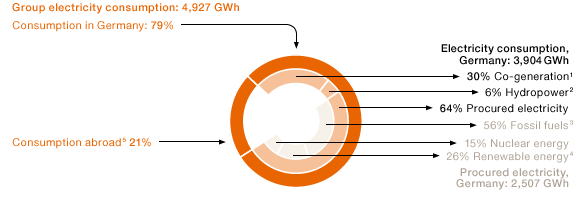 Electricity Supply (pie chart)