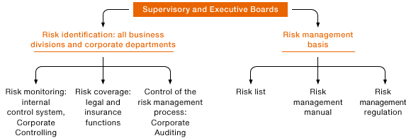 Risk Management System (graphic)