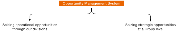 Opportunity Management System (graphic)