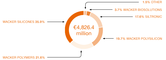 Divisional Shares in External Sales (Kreisdiagramm)