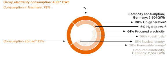 Electricity Supply for the WACKER Group in 2014 (Tortendiagramm)