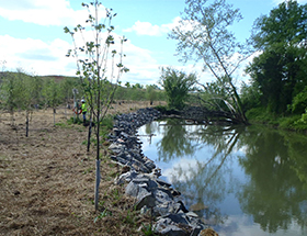 Charleston Creek (Foto)