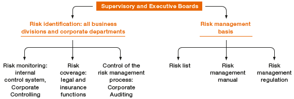 Risk Management System (graphic)