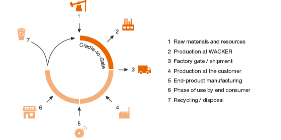 Product Lifecycles (pie chart)