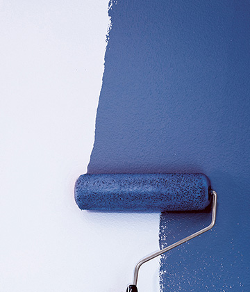 VINNAPAS® ensures the required adhesion of the pigments in the paint (photo)